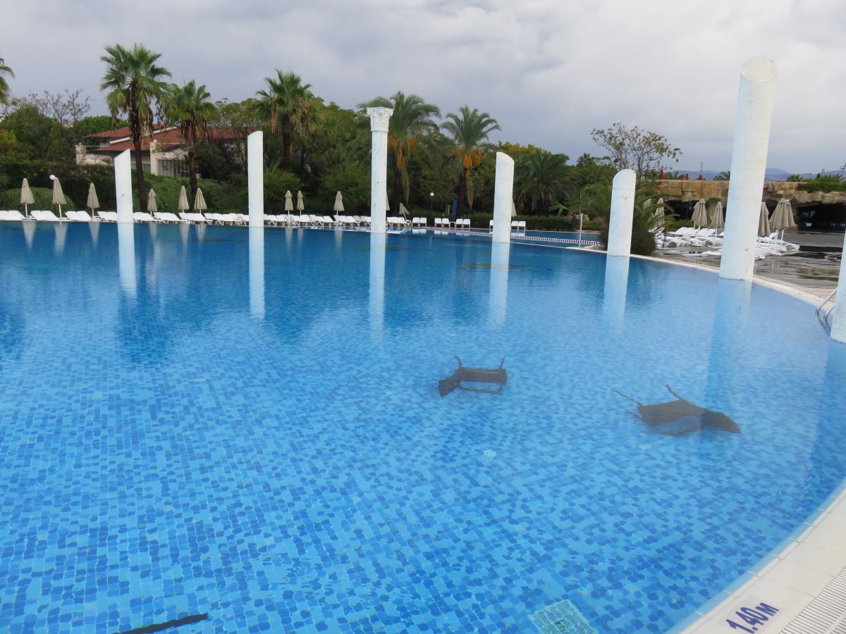 imagini hotel Starlight Resort